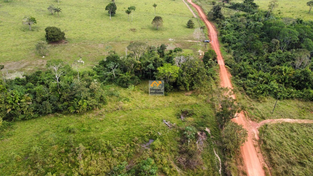 Sítio à venda - Foto 9