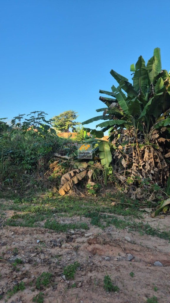 Terreno à venda - Foto 3