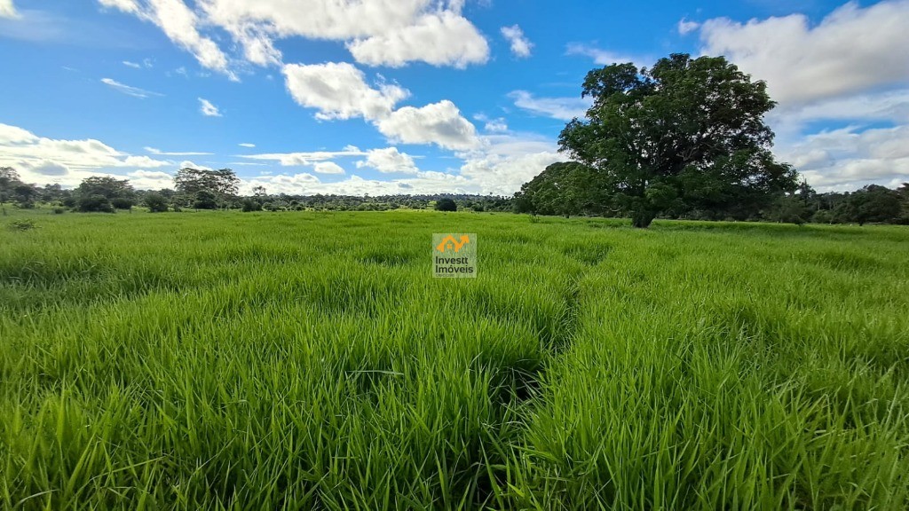 Sítio, 3 quartos - Foto 3