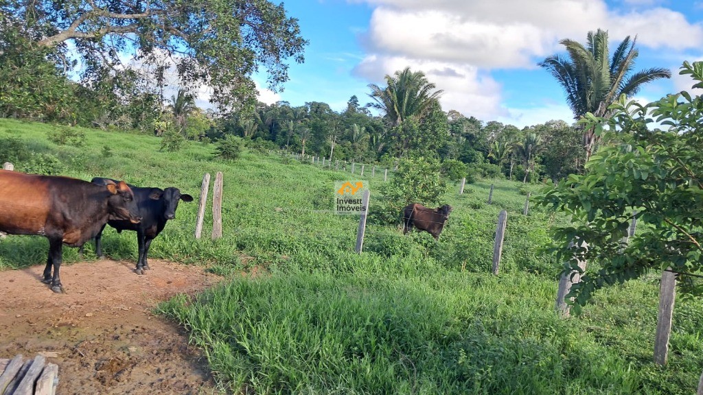 Sítio, 3 quartos - Foto 5