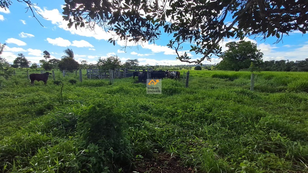 Sítio, 3 quartos - Foto 7