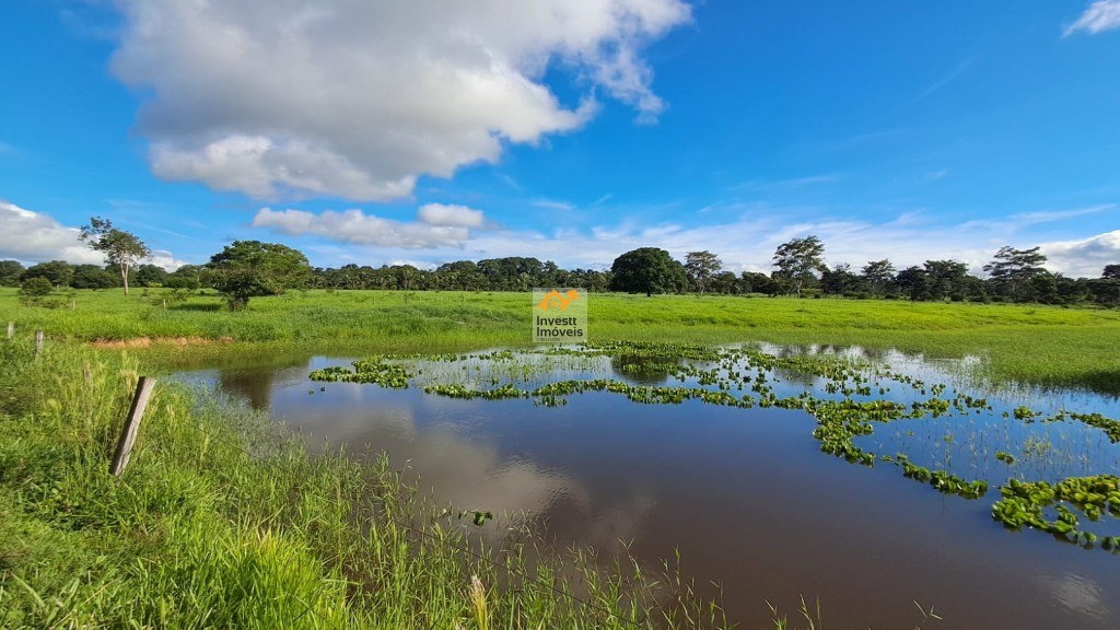 Sítio, 3 quartos - Foto 2