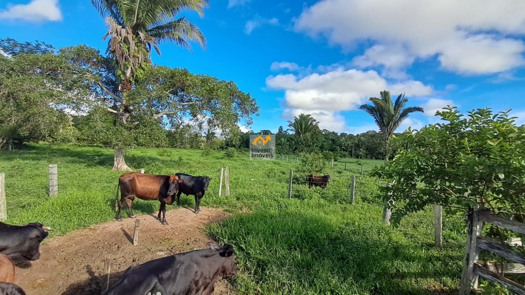 Sítio, 3 quartos - Foto 4