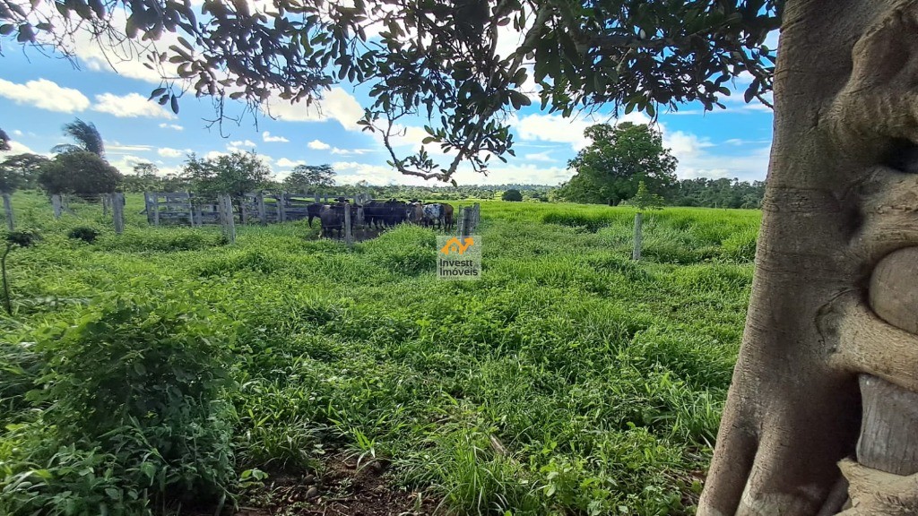 Sítio, 3 quartos - Foto 6