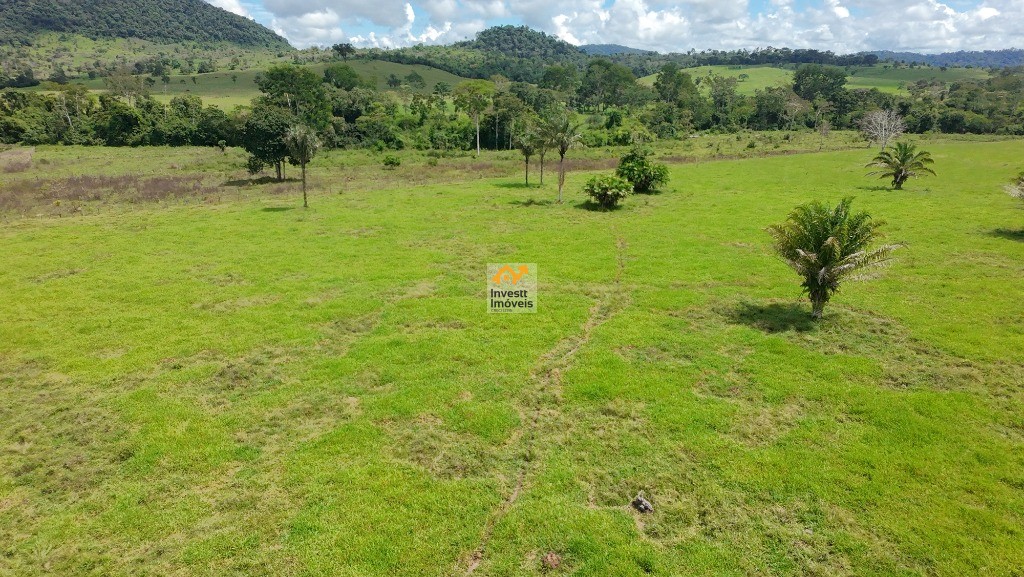 Sítio - Foto 8