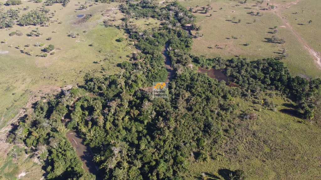 Fazenda - Foto 10
