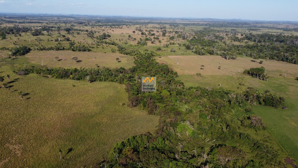 Fazenda - Foto 7