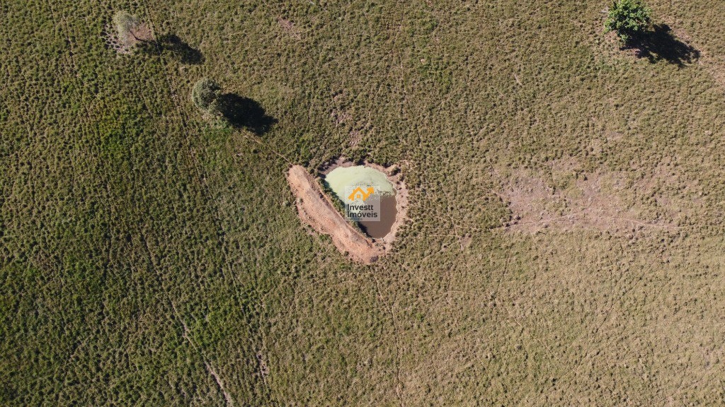 Fazenda - Foto 6
