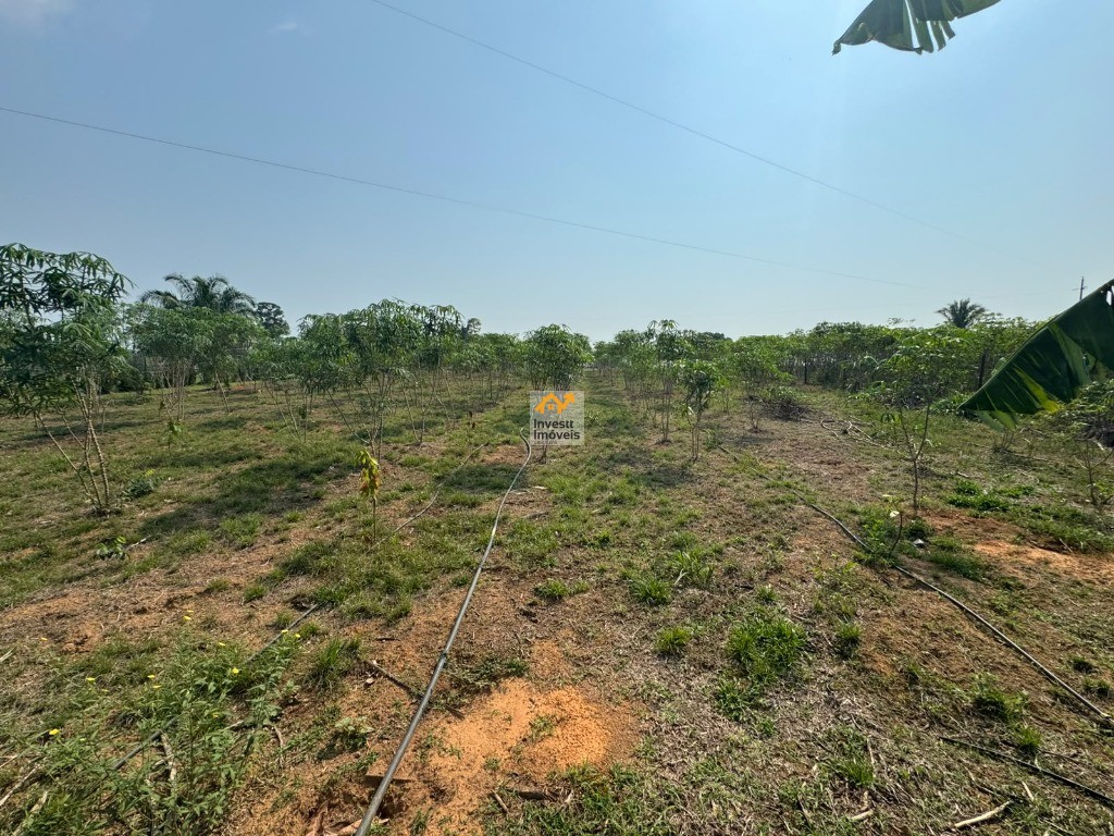 Chácara, 2 quartos, 2500 m² - Foto 16
