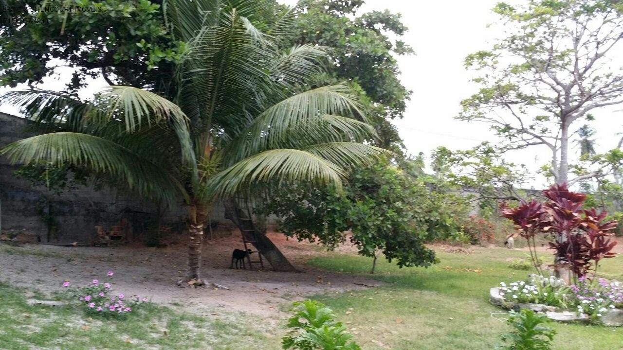 Casa, 4 quartos, 4200 m² - Foto 13