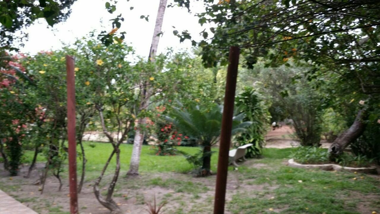 Casa, 4 quartos, 4200 m² - Foto 8