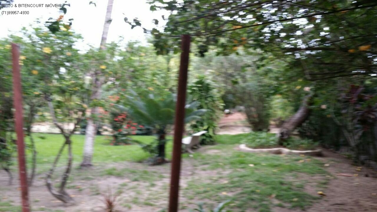 Casa, 4 quartos, 4200 m² - Foto 7