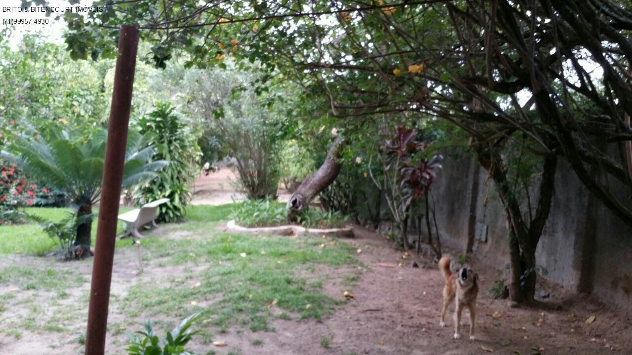 Casa, 4 quartos, 4200 m² - Foto 15