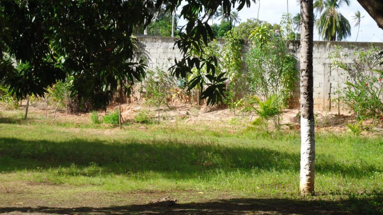 Casa, 4 quartos, 4200 m² - Foto 2