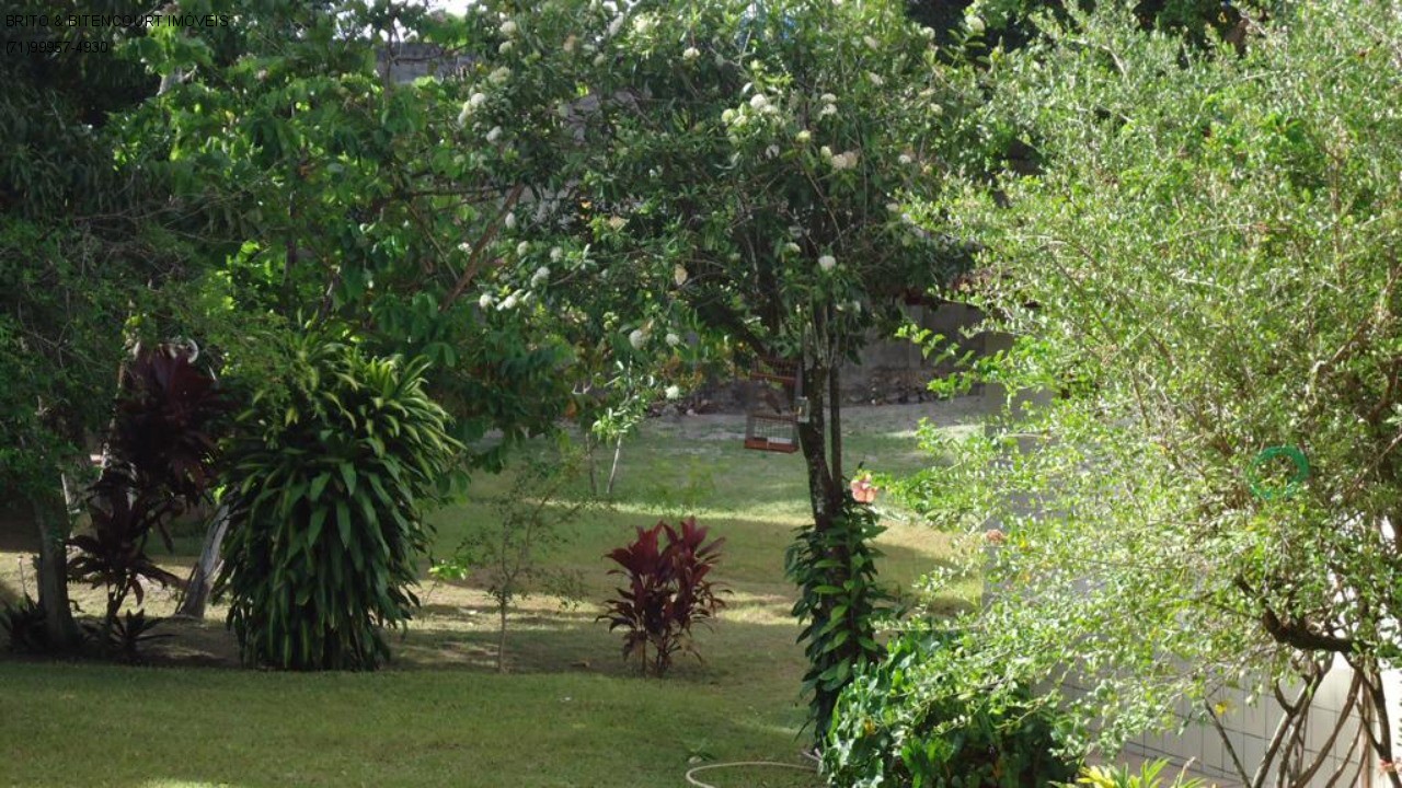 Casa, 4 quartos, 4200 m² - Foto 9