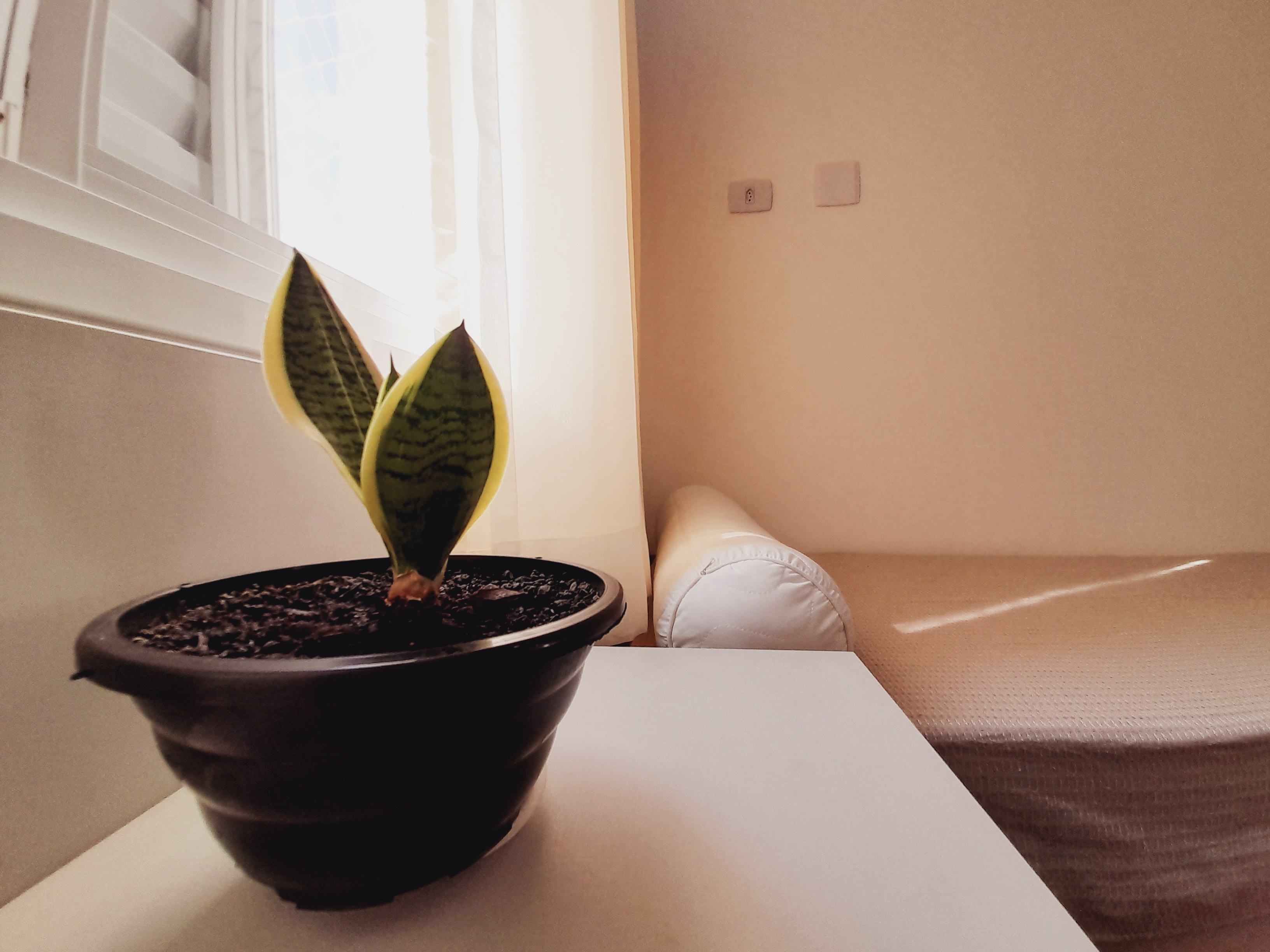 Apartamento, 2 quartos, 74 m² - Foto 24