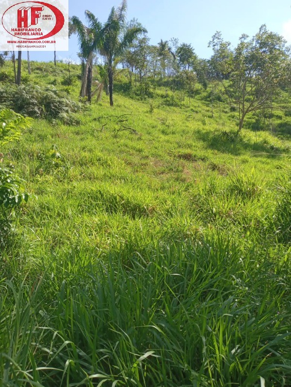 FAZENDA RURAL em Município de São Félix do Xingú - PA, Município de São Félix do Xingú