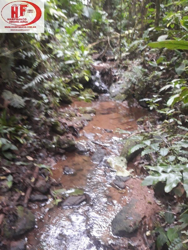AREA RURAL em JUQUITIBA - SP, PROX CHACARA SAKURA