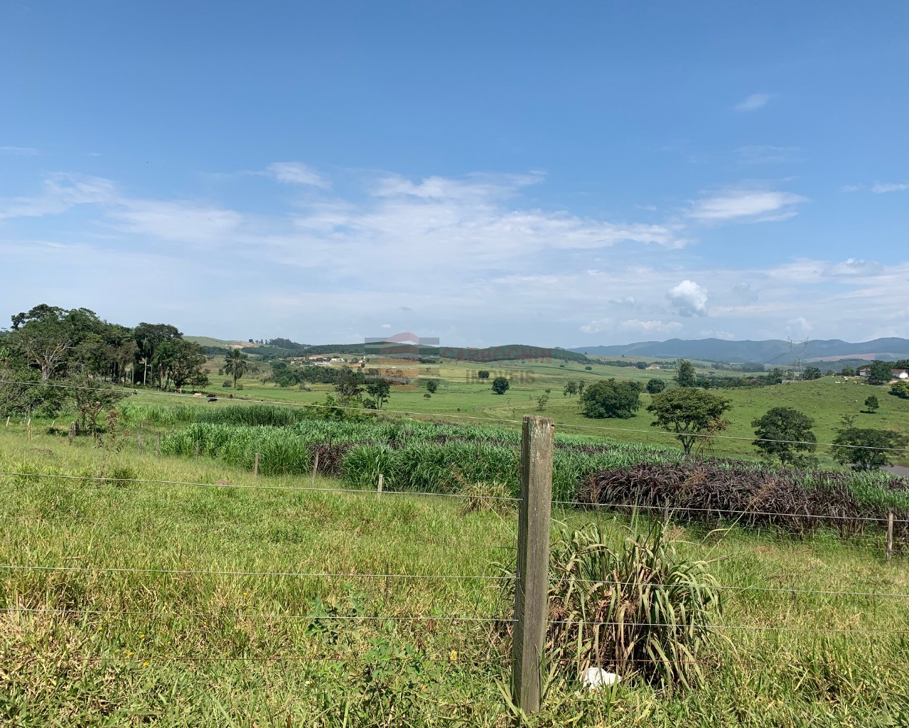 Área a Venda No Pinus de Iriguassu Ii em Caçapava