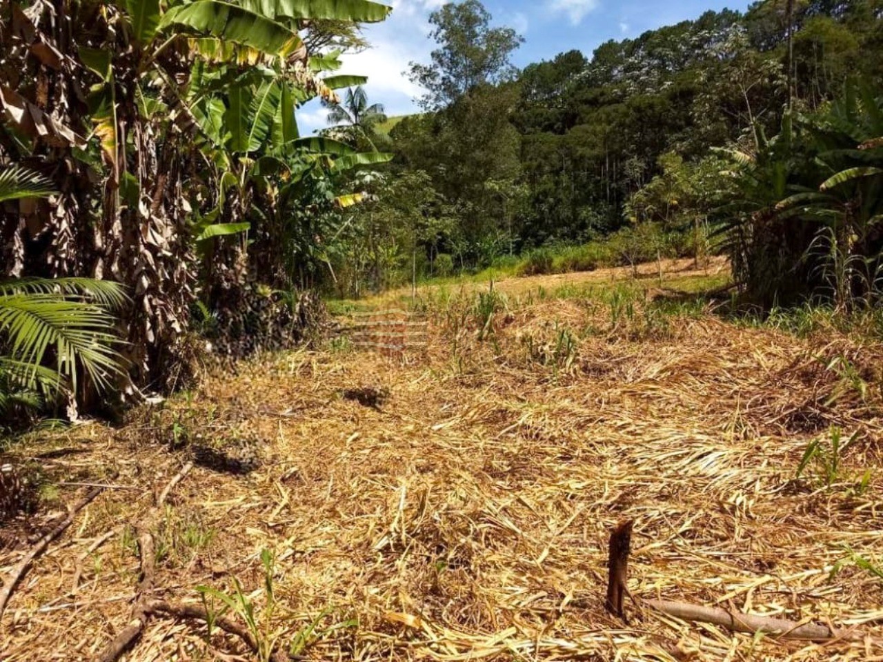 Sítio a Venda No Pedregulho em Caçapava