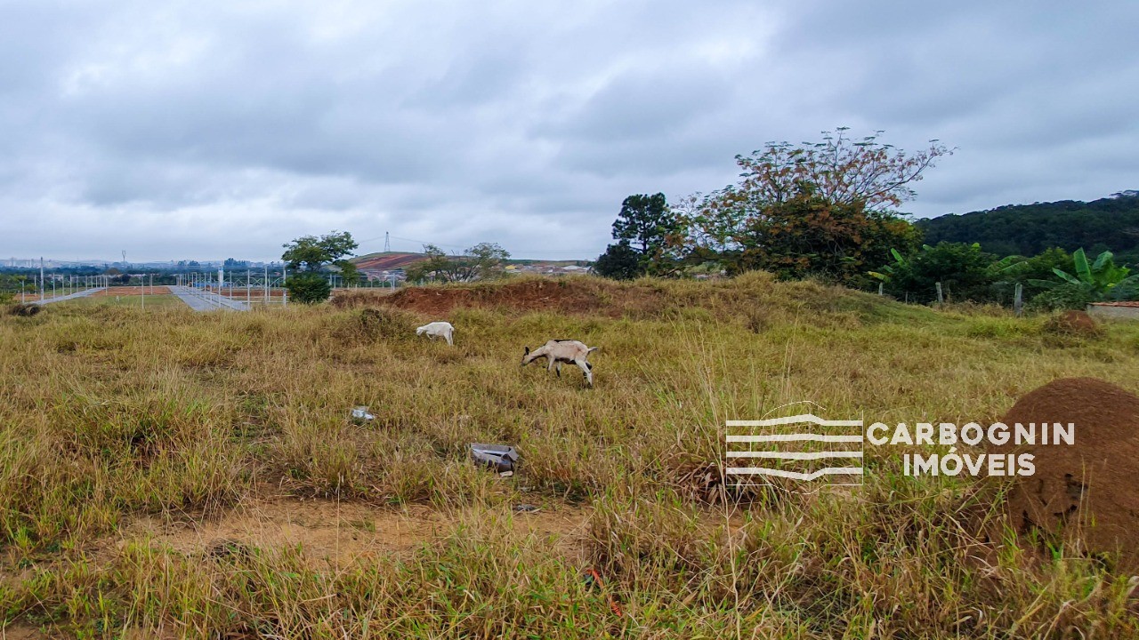 Terreno a Venda No Jardim Panorama em Caçapava