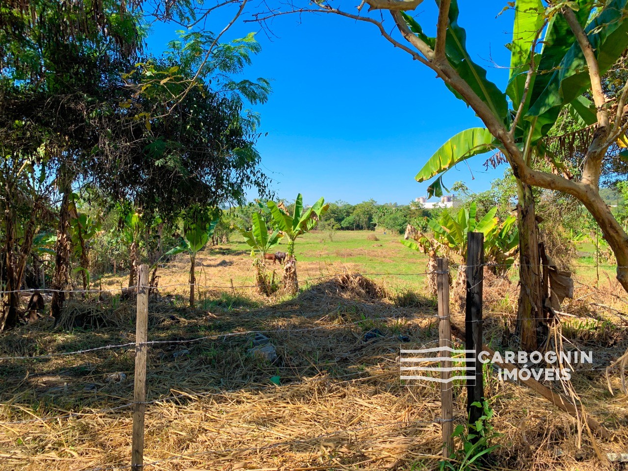 Área a Venda No Santa Luzia em Caçapava