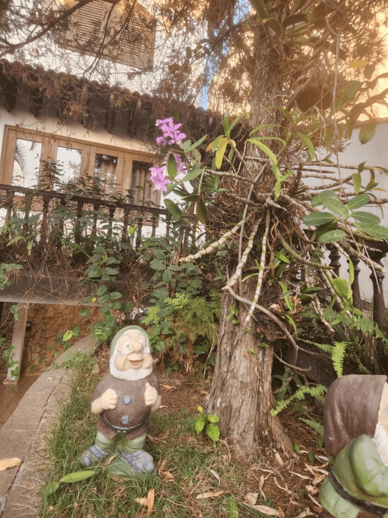 Casa, 4 quartos, 335 m² - Foto 16