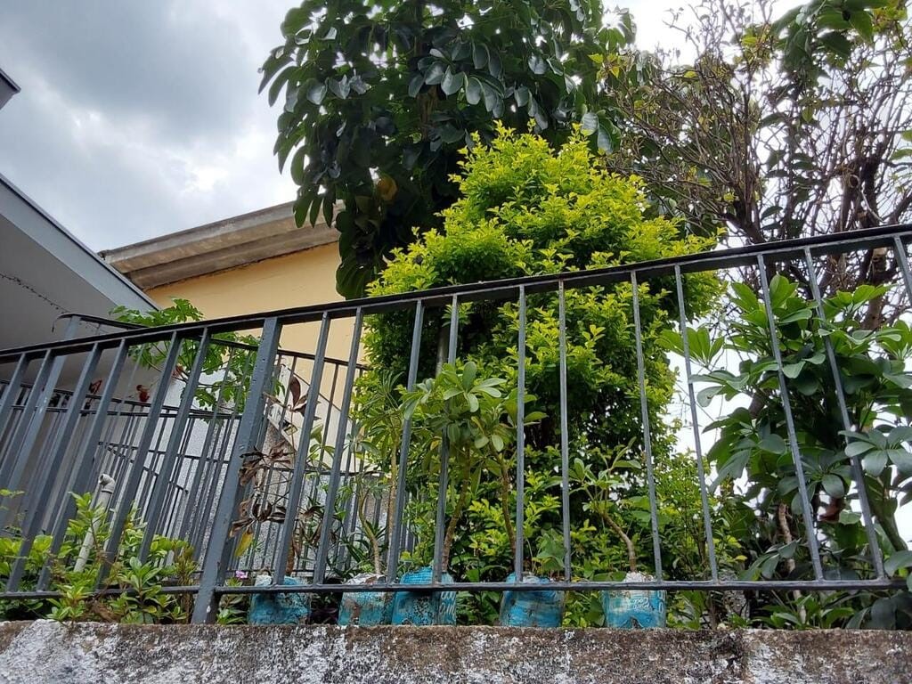 Casa, 3 quartos, 189 m² - Foto 6