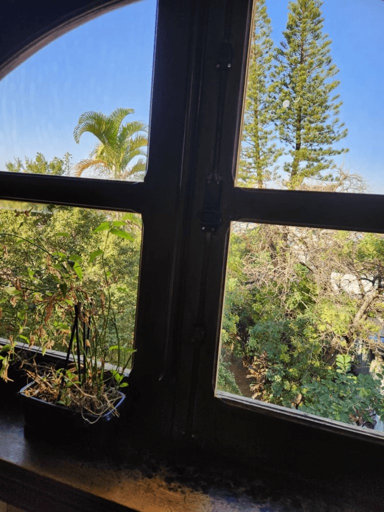 Casa, 4 quartos, 335 m² - Foto 20