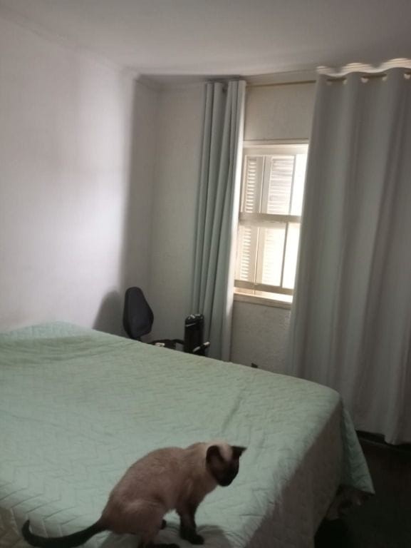 Casa, 3 quartos, 156 m² - Foto 3