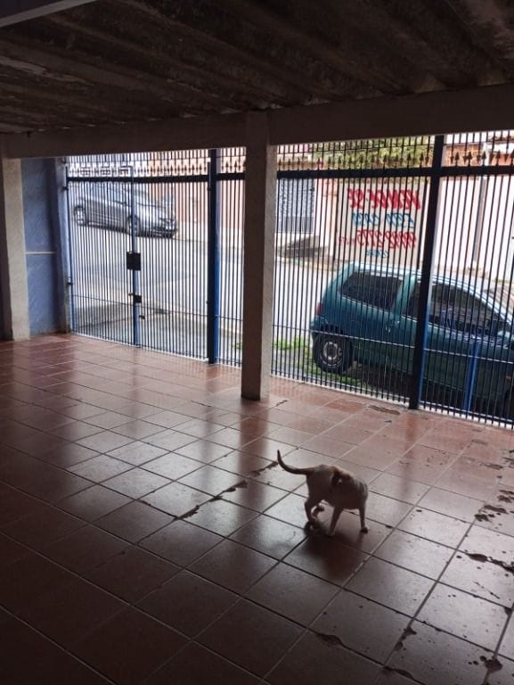 Casa, 3 quartos, 156 m² - Foto 2