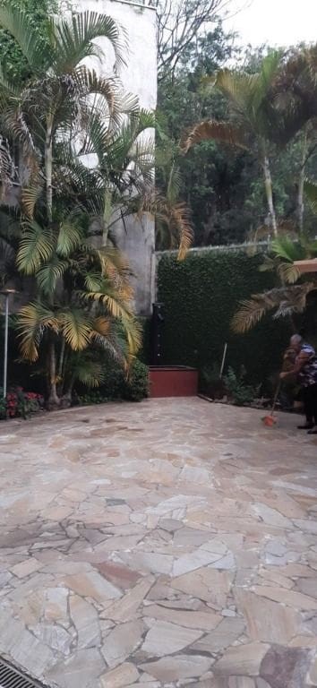 Casa, 4 quartos, 250 m² - Foto 6