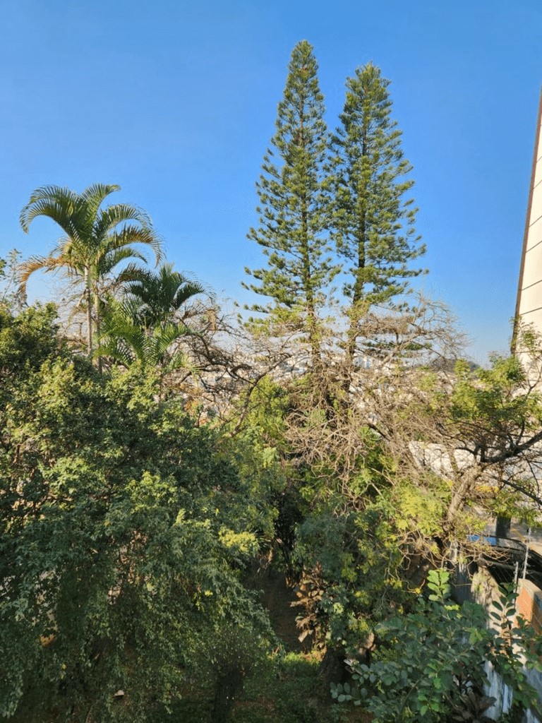 Casa, 4 quartos, 335 m² - Foto 13