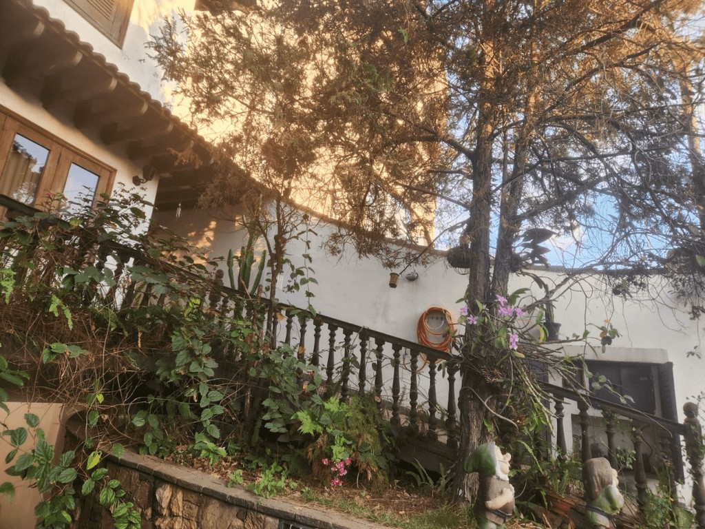 Casa, 4 quartos, 335 m² - Foto 43