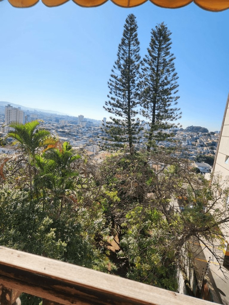 Casa, 4 quartos, 335 m² - Foto 17