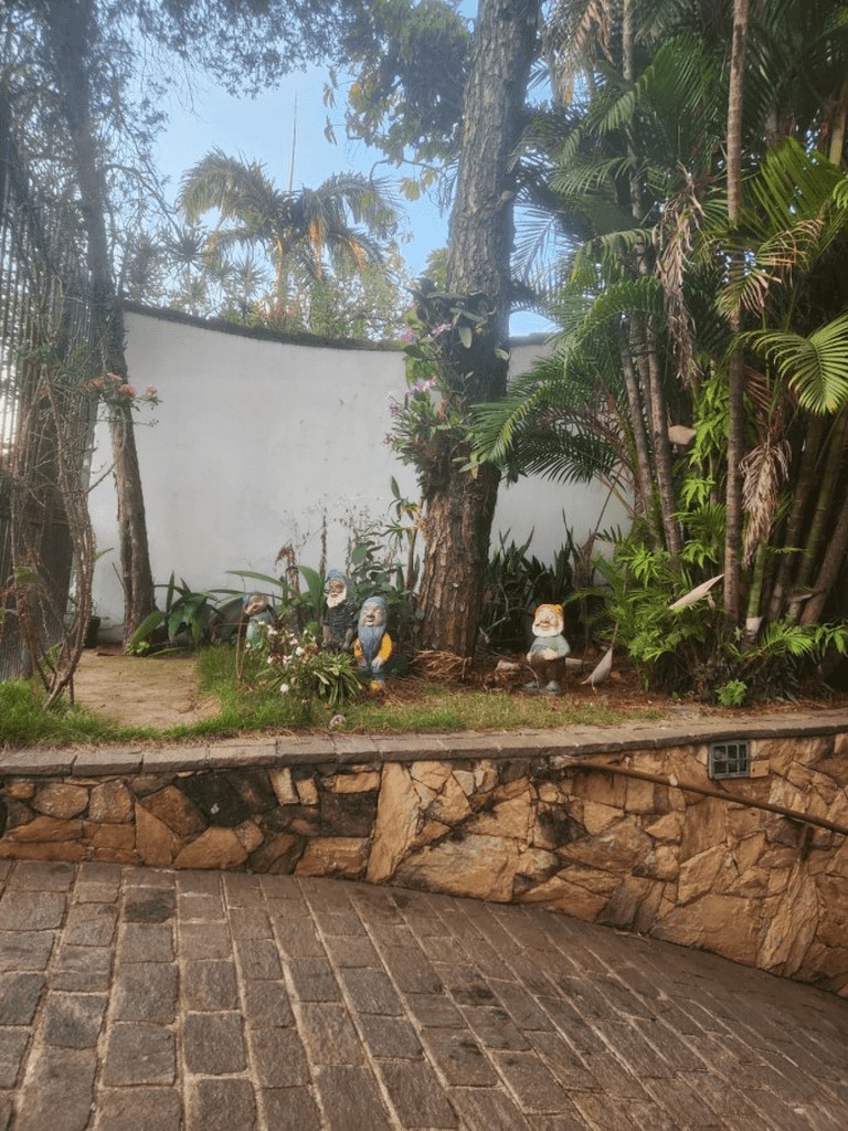 Casa, 4 quartos, 335 m² - Foto 44