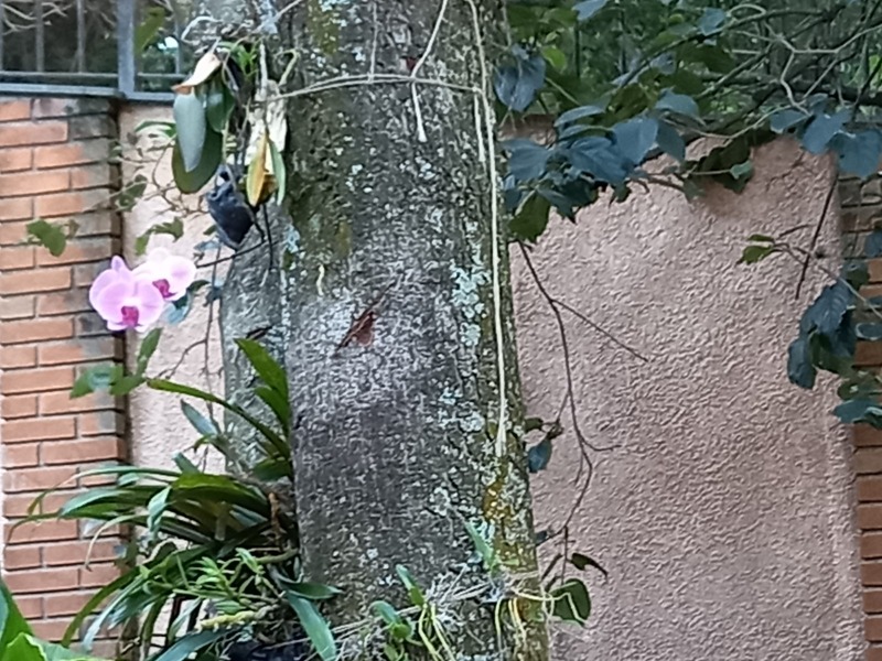 Casa, 2 quartos, 270 m² - Foto 31