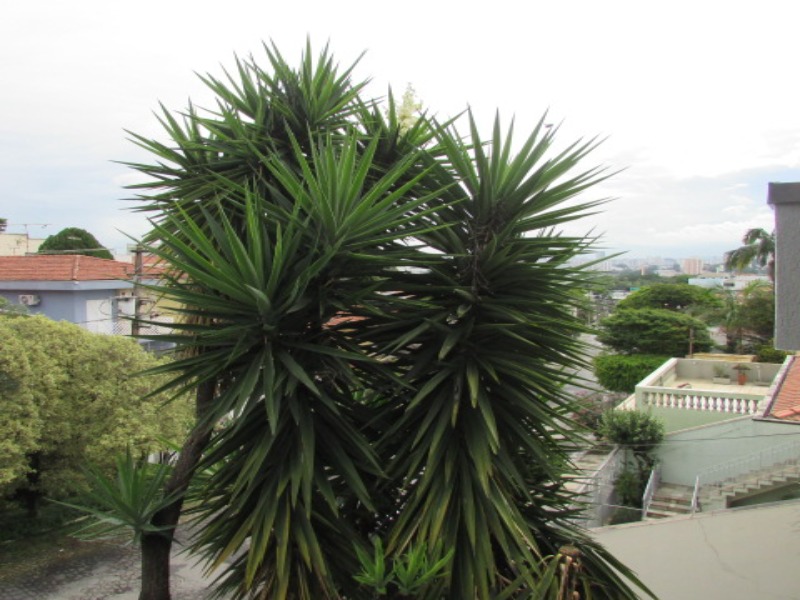 Sobrado, 3 quartos, 200 m² - Foto 5