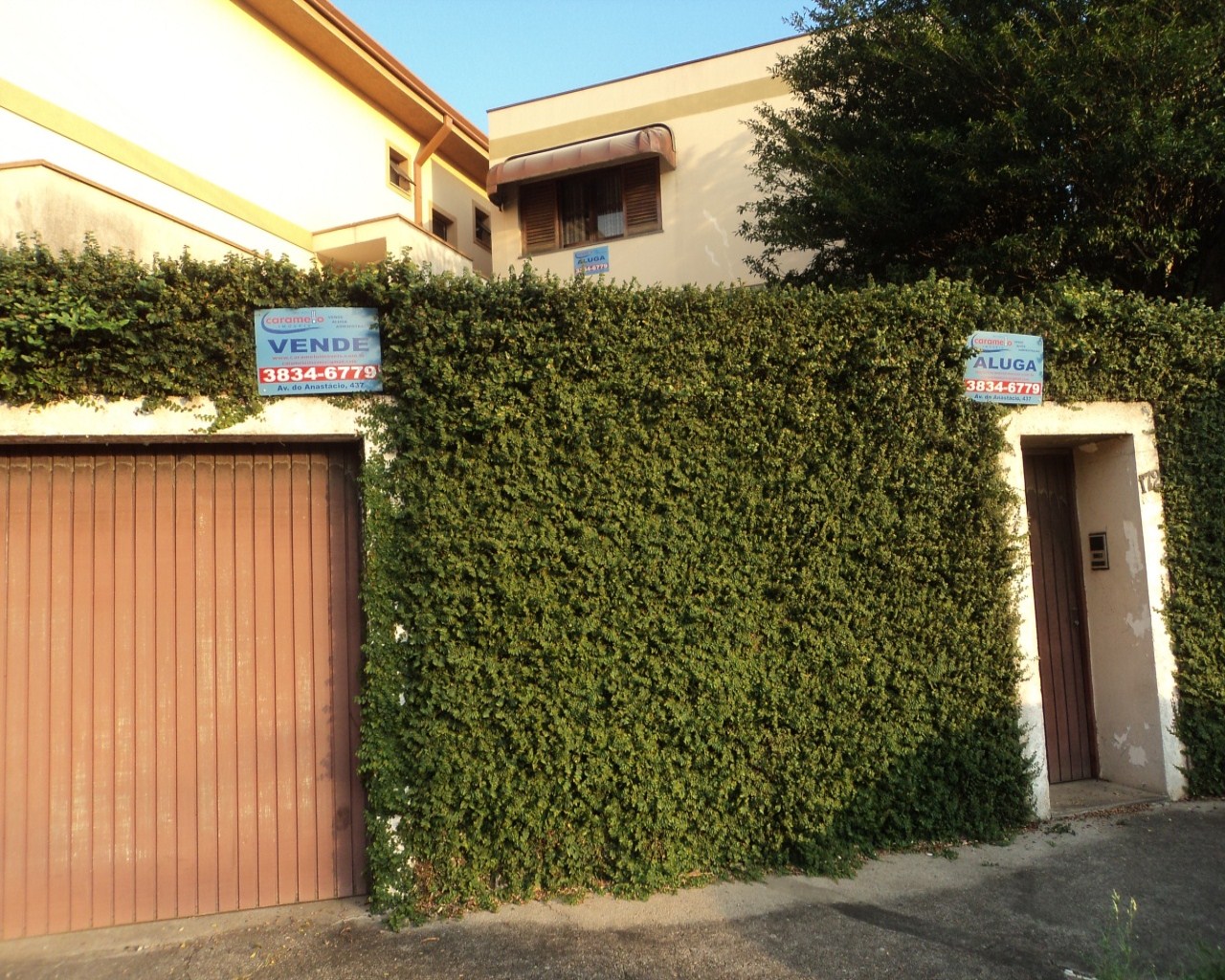 Casa, 3 quartos, 253 m² - Foto 30