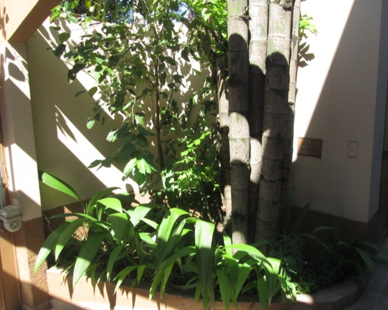 Casa, 4 quartos, 341 m² - Foto 3