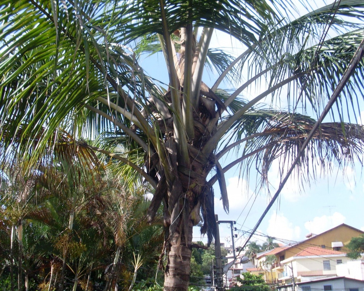 Casa, 2 quartos, 270 m² - Foto 16