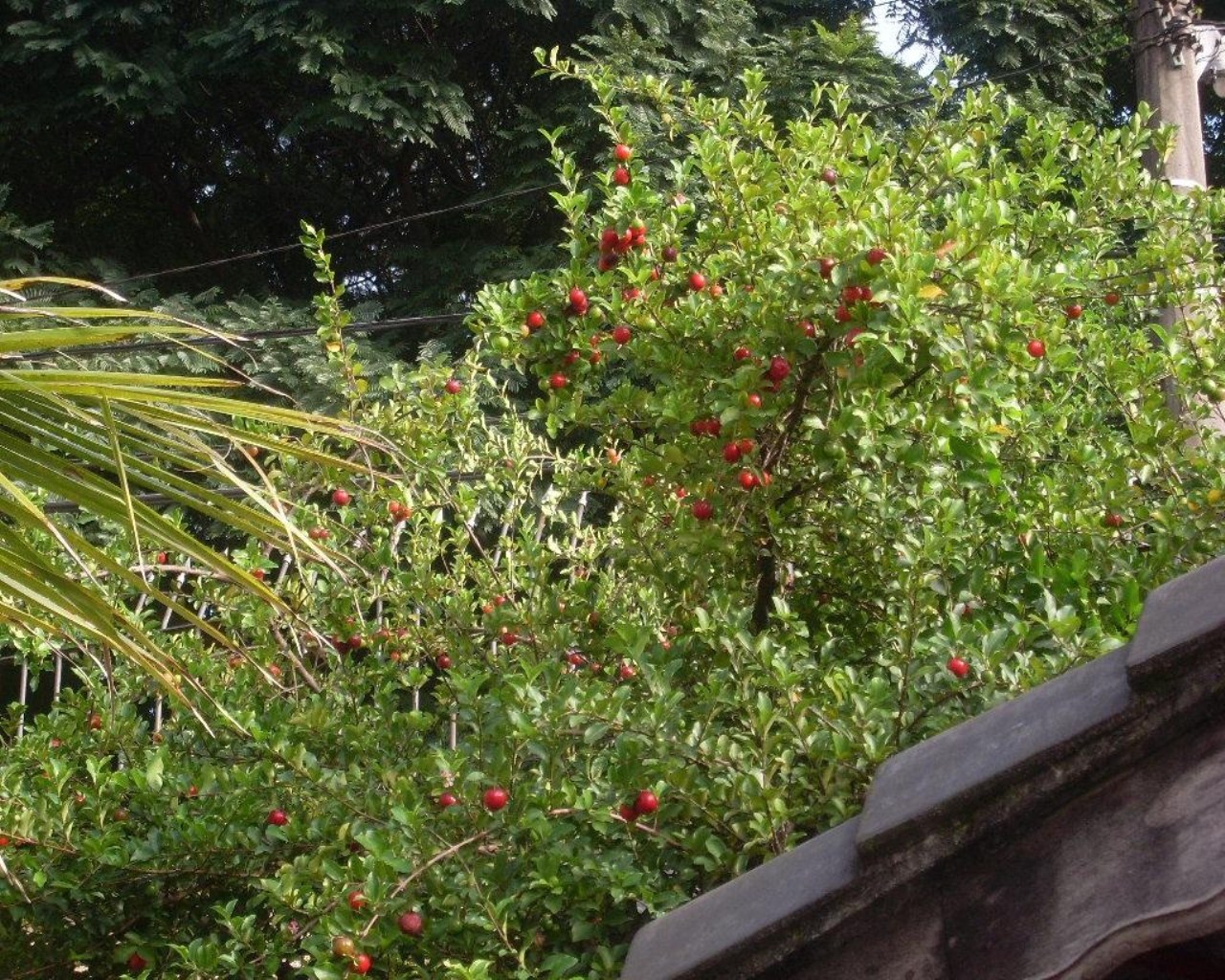 Casa, 2 quartos, 270 m² - Foto 20