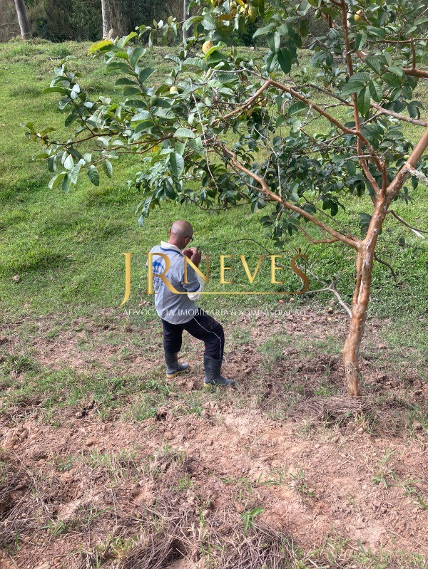 Terreno comercial em santa isabel - sp, vargem grande