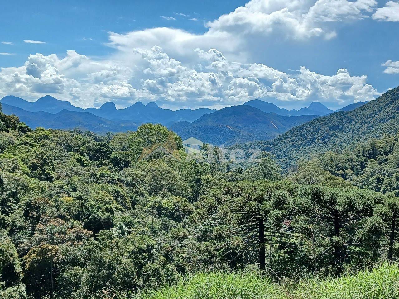 Sítio, 4 quartos, 11 hectares - Foto 45