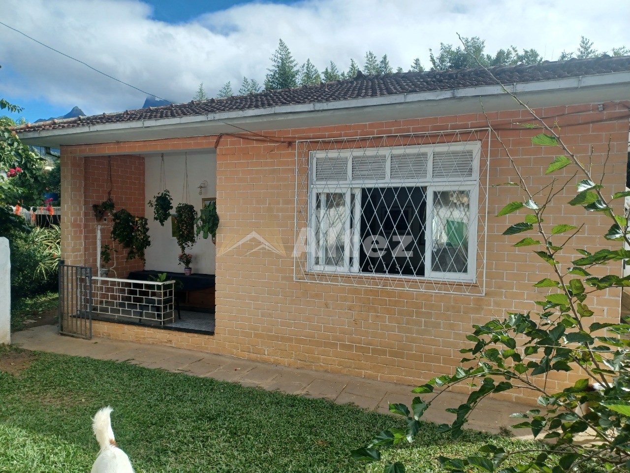 Casa, 3 quartos, 536 m² - Foto 1