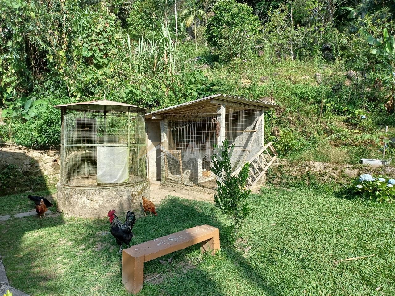 Sítio, 3 quartos, 2 hectares - Foto 29