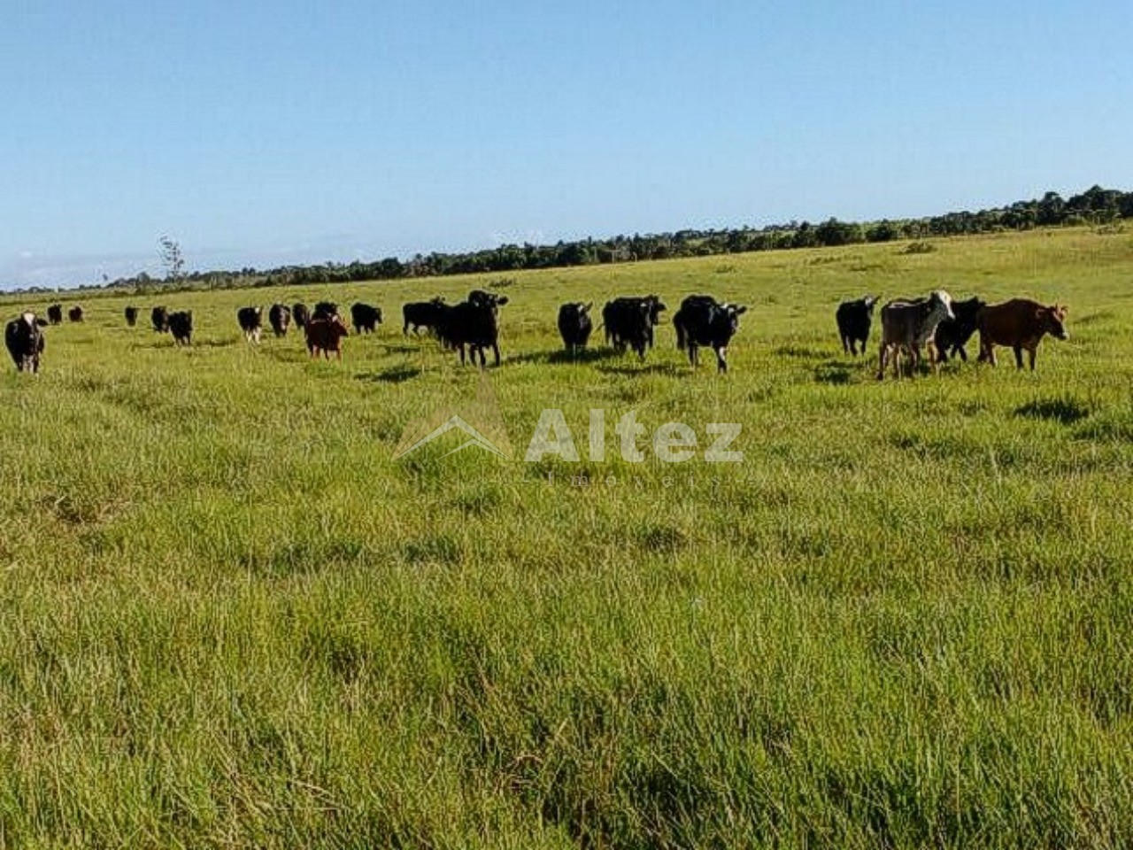 Fazenda, 587 hectares - Foto 14