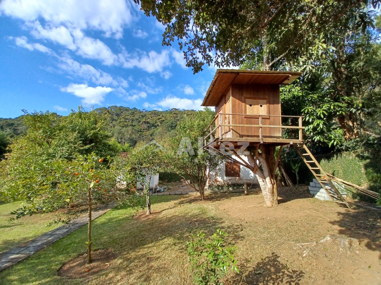 Casa, 6 quartos, 3250 m² - Foto 31