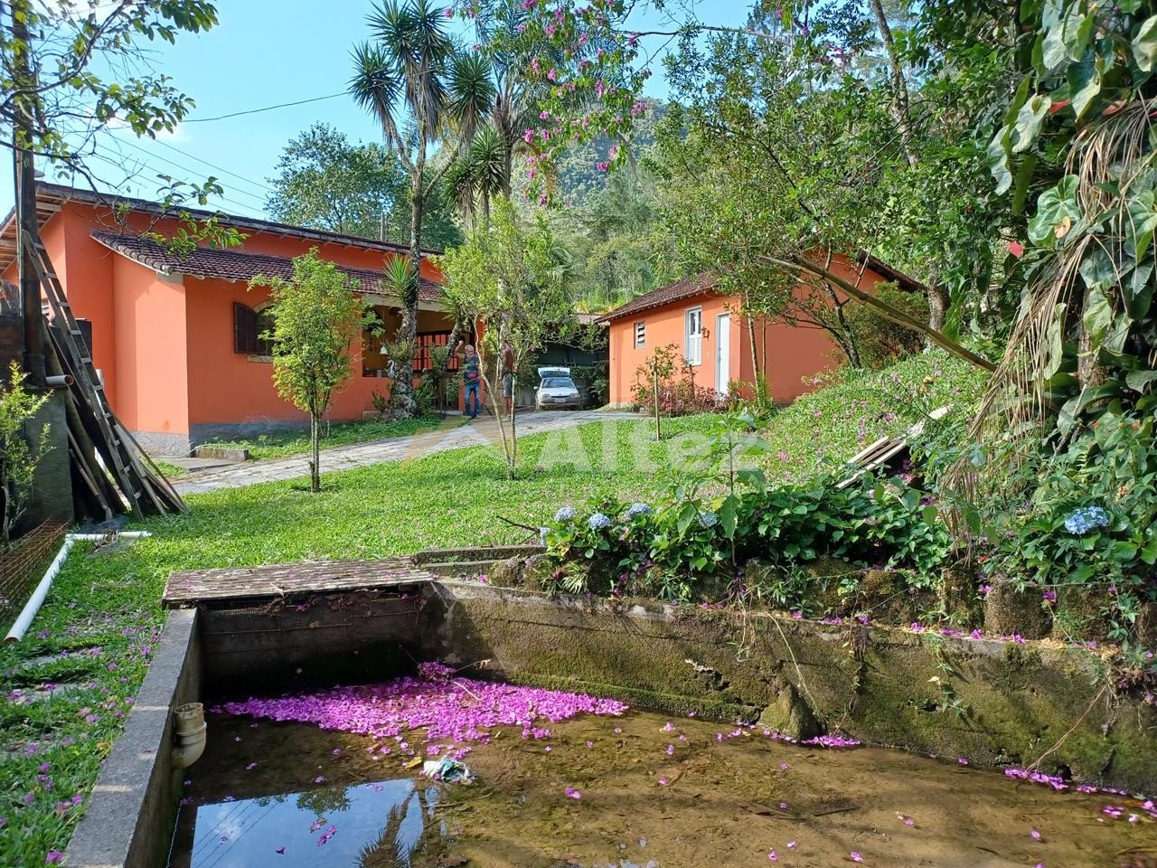 Sítio, 3 quartos, 2 hectares - Foto 1