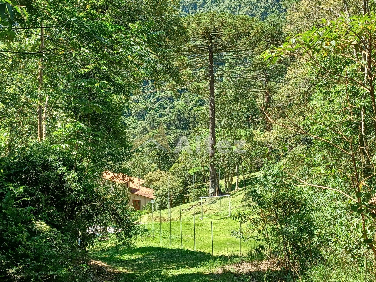 Sítio, 4 quartos, 11 hectares - Foto 50
